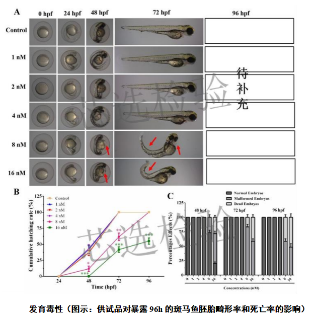 广东芯选检验检测有限公司
